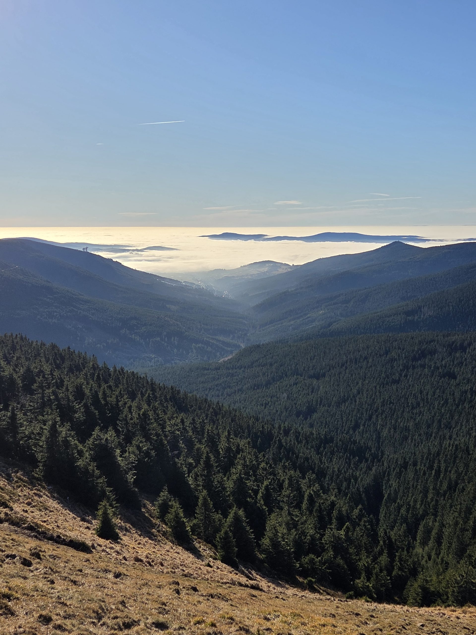 Śnieżnik w grudniu …